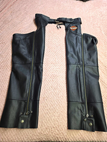 Vintage early 2000 harley - vintage,